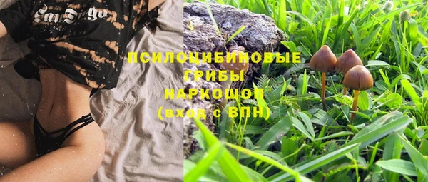 твердый Аркадак