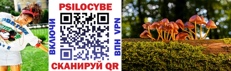 Галлюциногенные грибы Magic Shrooms  Избербаш 